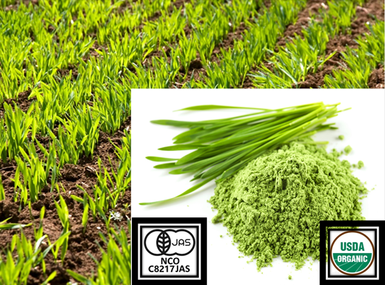 Health food products JAS-Organic certified Young barley, Moringa, Gotukola, Light galangal etc.